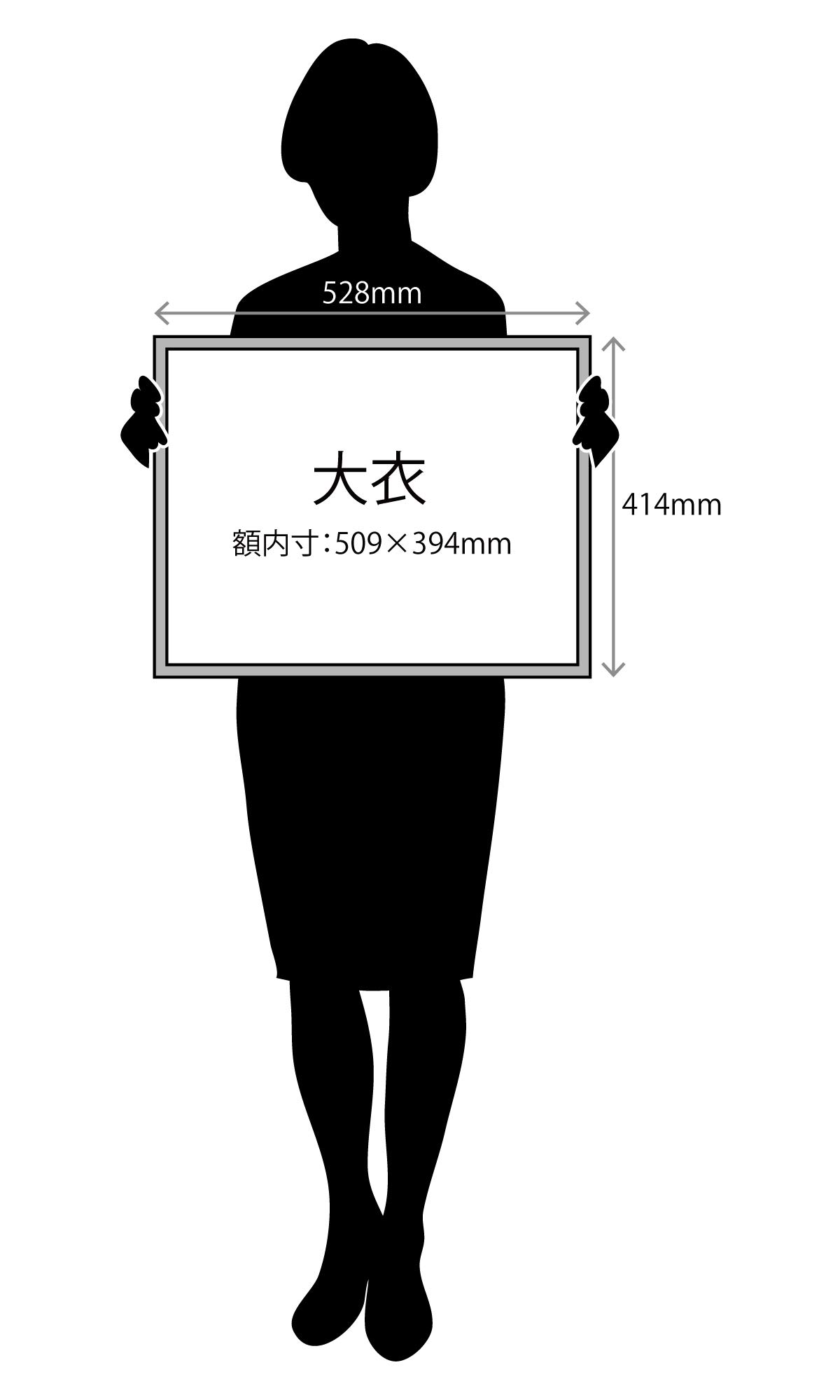 Amazon.co.jp: ラーソン・ジュール 額縁 シャルム 大衣（内寸509x394mm
